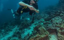 Galeria z Wyjazdu do Tajlandii 2019 turnus I