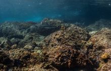 Galeria z Wyjazdu do Tajlandii 2019 turnus I