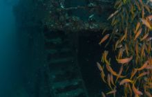 Galeria z Wyjazdu do Tajlandii 2019 turnus I