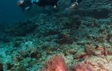 Galeria z Wyjazdu do Tajlandii 2019 turnus I