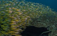 Galeria z Wyjazdu do Tajlandii 2019 turnus I