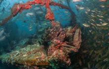 Galeria z Wyjazdu do Tajlandii 2019 turnus I