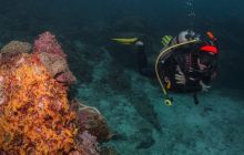 Galeria z Wyjazdu do Tajlandii 2019 turnus I