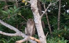 Galeria z Wyjazdu do Tajlandii 2019 turnus I