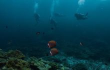 Galeria z Wyjazdu do Tajlandii 2019 turnus I