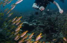 Galeria z Wyjazdu do Tajlandii 2019 turnus I