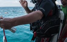 Galeria z Wyjazdu do Tajlandii 2019 turnus I