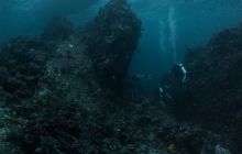 Galeria z Wyjazdu do Tajlandii 2019 turnus I