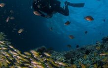 Galeria z Wyjazdu do Tajlandii 2019 turnus I