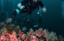 Galeria z Wyjazdu do Tajlandii 2019 turnus I