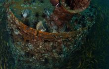 Galeria z Wyjazdu do Tajlandii 2019 turnus I