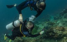 Galeria z Wyjazdu do Tajlandii 2019 turnus I