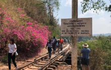 Galeria z Wyjazdu do Tajlandii 2019 turnus I