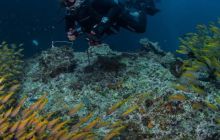 Galeria z Wyjazdu do Tajlandii 2019 turnus I