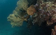 Galeria z Wyjazdu do Tajlandii 2019 turnus I