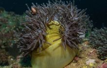 Galeria z Wyjazdu do Tajlandii 2019 turnus I