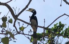 Galeria z Wyjazdu do Tajlandii 2019 turnus I