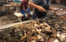 Galeria z Wyjazdu do Tajlandii 2019 turnus I