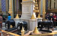 Galeria z Wyjazdu do Tajlandii 2019 turnus I