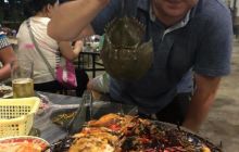 Galeria z Wyjazdu do Tajlandii 2019 turnus I