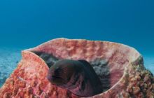 Galeria z Wyjazdu do Tajlandii 2019 turnus I