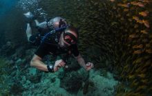 Galeria z Wyjazdu do Tajlandii 2019 turnus I