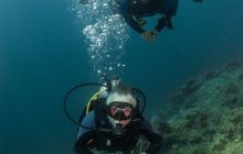 Galeria z Wyjazdu do Tajlandii 2019 turnus I