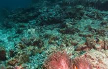 Galeria z Wyjazdu do Tajlandii 2019 turnus I