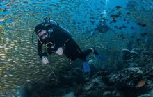 Galeria z Wyjazdu do Tajlandii 2019 turnus I