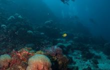 Galeria z Wyjazdu do Tajlandii 2019 turnus I