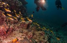 Galeria z Wyjazdu do Tajlandii 2019 turnus I