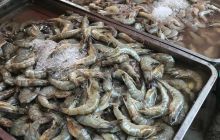 Galeria z wyjazdu do Tajlandii 2019 turnus II