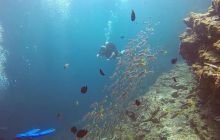 Galeria z wyjazdu do Tajlandii 2019 turnus II