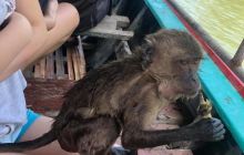 Galeria z wyjazdu do Tajlandii 2019 turnus II