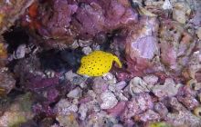 Galeria z wyjazdu do Tajlandii 2019 turnus II