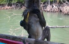 Galeria z wyjazdu do Tajlandii 2019 turnus II