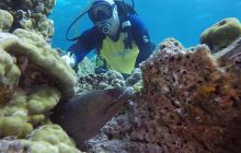 Galeria z wyjazdu do Tajlandii 2019 turnus II