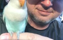 Galeria z wyjazdu do Tajlandii 2019 turnus II