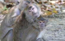 Galeria z wyjazdu do Tajlandii 2019 turnus II