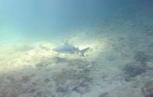 Galeria z wyjazdu do Tajlandii 2019 turnus II