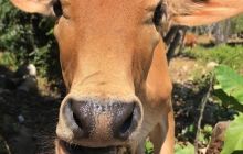 Galeria z wyjazdu do Tajlandii 2019 turnus II