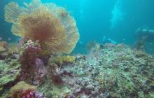 Galeria z wyjazdu do Tajlandii 2019 turnus II