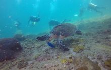 Galeria z wyjazdu do Tajlandii 2019 turnus II