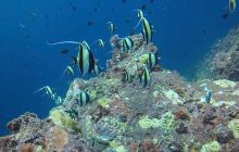 Galeria z wyjazdu do Tajlandii 2019 turnus II