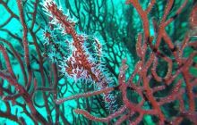 Galeria z wyjazdu do Tajlandii 2019 turnus II