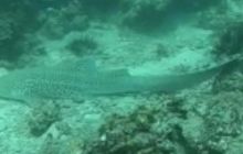 Galeria z wyjazdu do Tajlandii 2019 turnus II