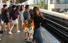 Galeria z wyjazdu do Tajlandii 2019 turnus II