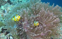 Galeria z wyjazdu do Tajlandii 2019 turnus II