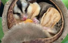 Galeria z wyjazdu do Tajlandii 2019 turnus II