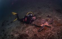 Galeria z wyjazdu do Tajlandii 2019 turnus II